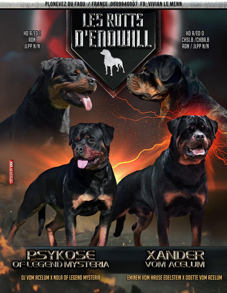 Psykose Of Legend Mysteria X Xander Vom Acelum 2021