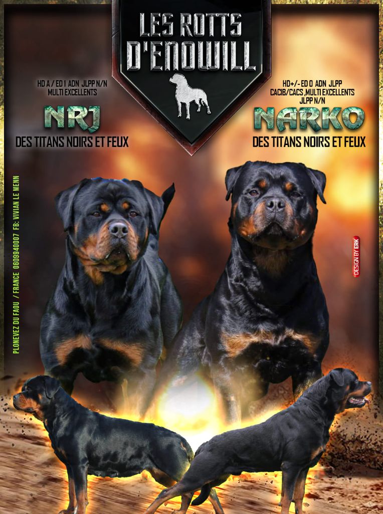 NRJ Des Titans Noirs et Feux X Narko Des Titans Noirs et Feux 2021